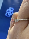 Baby Breath Regal Tulip Ring